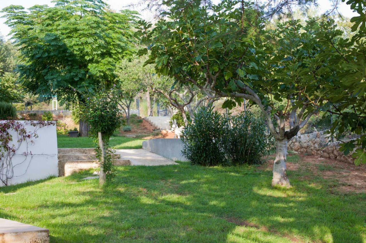 Apartment Robinson Podvrsje Bagian luar foto