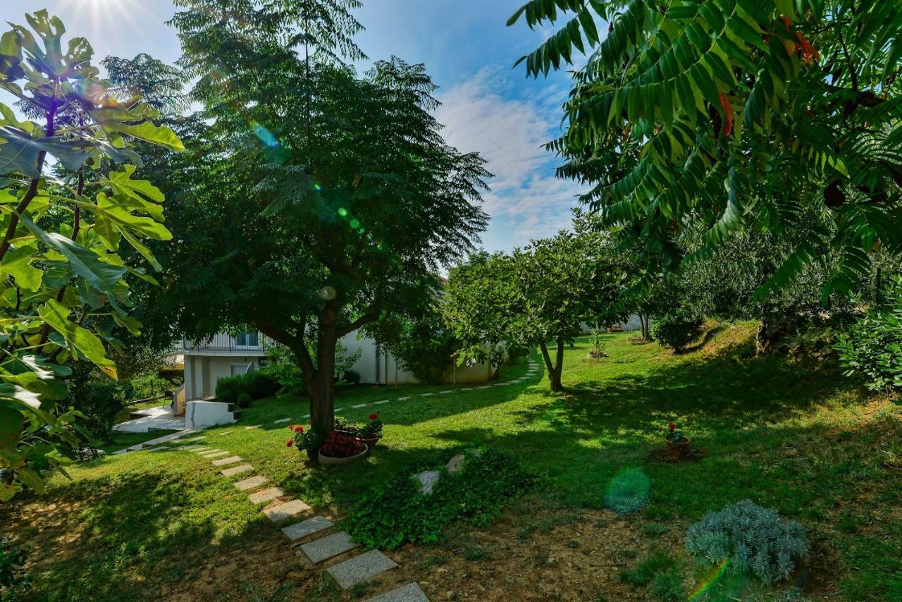 Apartment Robinson Podvrsje Bagian luar foto